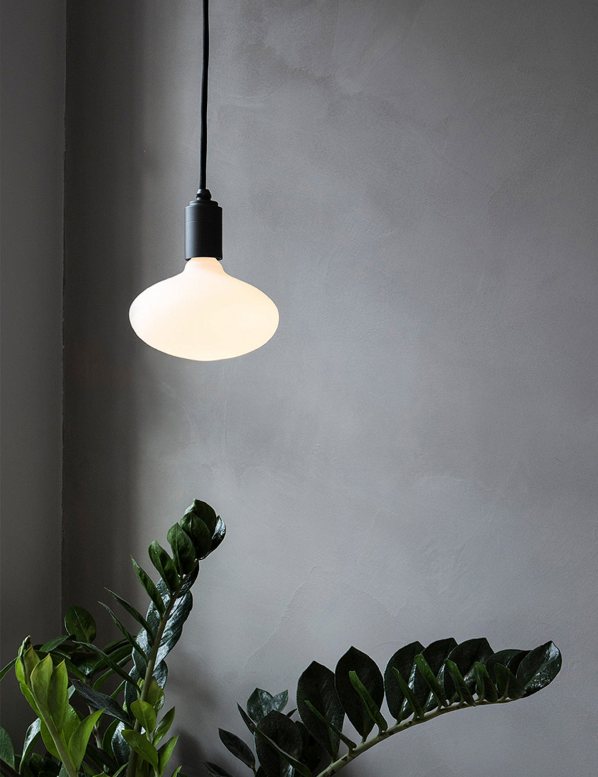 Oval 6W LED Bulb - LED Light Bulb Set Energy Efficient | Home Lighting in a room