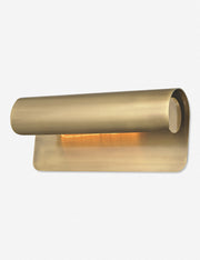 Ozzie Picture Light - Home Lighting Fixture for Home Decor Light
