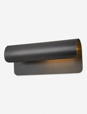 Ozzie Picture Light - Home Lighting Fixture for Home Decor Light