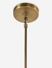 Witting Chandelier - Dining Room Chandelier Fixture for Dining Rooms