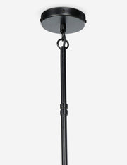 Newell Chandelier - Dining Room Chandelier Fixture for Dining Rooms