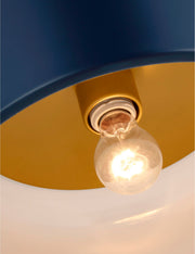 Olaf Flush Mount Light - Flush Mount Ceiling Light for Hallways