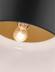 Olaf Flush Mount Light - Flush Mount Ceiling Light for Hallways