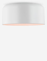 Olaf Flush Mount Light - Flush Mount Ceiling Light for Hallways