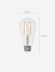 ST18 LED Filament Bulb (Set of 2) - LED Light Bulb Set | Home Lighting