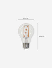A19 LED Filament Bulb (Set of 4) - LED Light Bulb Set Energy Efficient