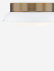 Emmie Flush Mount - Flush Mount Ceiling Light for Hallways Light