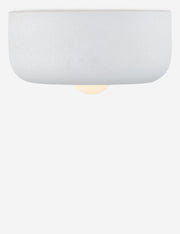 Denny Flush Mount Light - Flush Mount Ceiling Light for Hallways