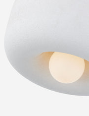 Denny Flush Mount Light - Flush Mount Ceiling Light for Hallways