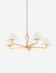 Hayden Chandelier - Dining Room Chandelier Fixture for Dining Rooms