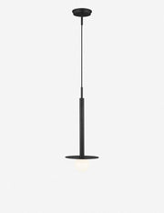 Nodes Pendant Light - Modern Ceiling Pendant Light for Dining Rooms