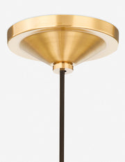 Talise Pendant Light - Modern Ceiling Pendant Light for Dining Rooms