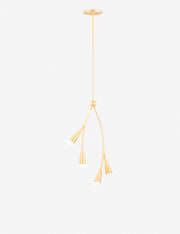 Elsa Pendant Light - Modern Ceiling Pendant Light for Dining Rooms