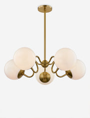 Julius Chandelier - Dining Room Chandelier Fixture for Dining Rooms