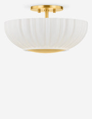 Fleury Flush Mount Light - Flush Mount Ceiling Light for Hallways