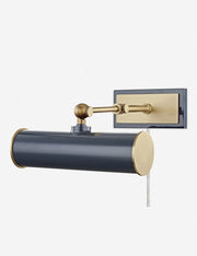 Acosta Picture Light - Home Lighting Fixture for Home Decor Light