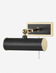 Acosta Picture Light - Home Lighting Fixture for Home Decor Light