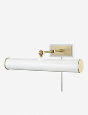 Acosta Picture Light - Home Lighting Fixture for Home Decor Light