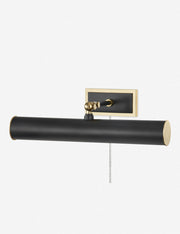 Acosta Picture Light - Home Lighting Fixture for Home Decor Light
