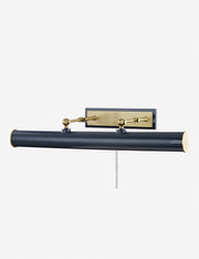 Acosta Picture Light - Home Lighting Fixture for Home Decor Light