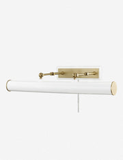 Acosta Picture Light - Home Lighting Fixture for Home Decor Light