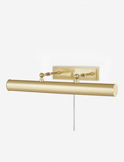 Acosta Picture Light - Home Lighting Fixture for Home Decor Light