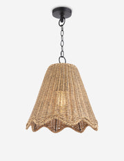 Summer Outdoor Pendant Light - Modern Ceiling Pendant Light Fixture