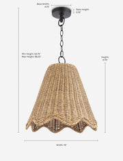 Summer Outdoor Pendant Light - Modern Ceiling Pendant Light Fixture