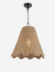 Summer Outdoor Pendant Light - Modern Ceiling Pendant Light Fixture