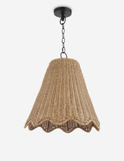 Summer Outdoor Pendant Light - Modern Ceiling Pendant Light Fixture