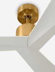 Renzo Ceiling Fan - Ceiling Fan with Light Indoor Fixture Light