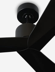 Renzo Ceiling Fan - Ceiling Fan with Light Indoor Fixture Light