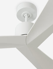 Renzo Ceiling Fan - Ceiling Fan with Light Indoor Fixture Light