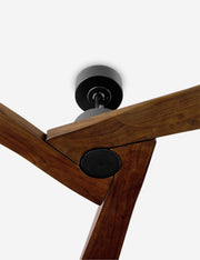 Vesa Ceiling Fan - Ceiling Fan with Light Indoor Fixture Light