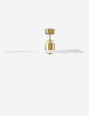 Vesa Ceiling Fan - Ceiling Fan with Light Indoor Fixture Light