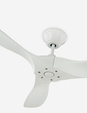 Delos Ceiling Fan - Ceiling Fan with Light Indoor Fixture Light