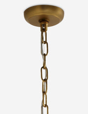 Parvaiz Chandelier - Dining Room Chandelier Fixture for Dining Rooms