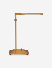 Stern Desk Lamp - Desk Task Lamp for Home Offices Task Lighting