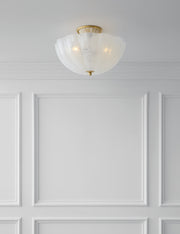 Rosehill Semi-Flush Mount Light - Semi Flush Ceiling Light Light