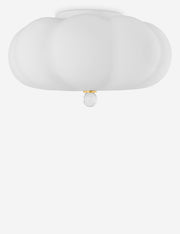 Junipere Flush Mount Light - Flush Mount Ceiling Light for Hallways