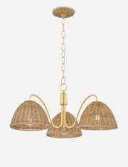 Parnay Chandelier - Dining Room Chandelier Fixture for Dining Rooms