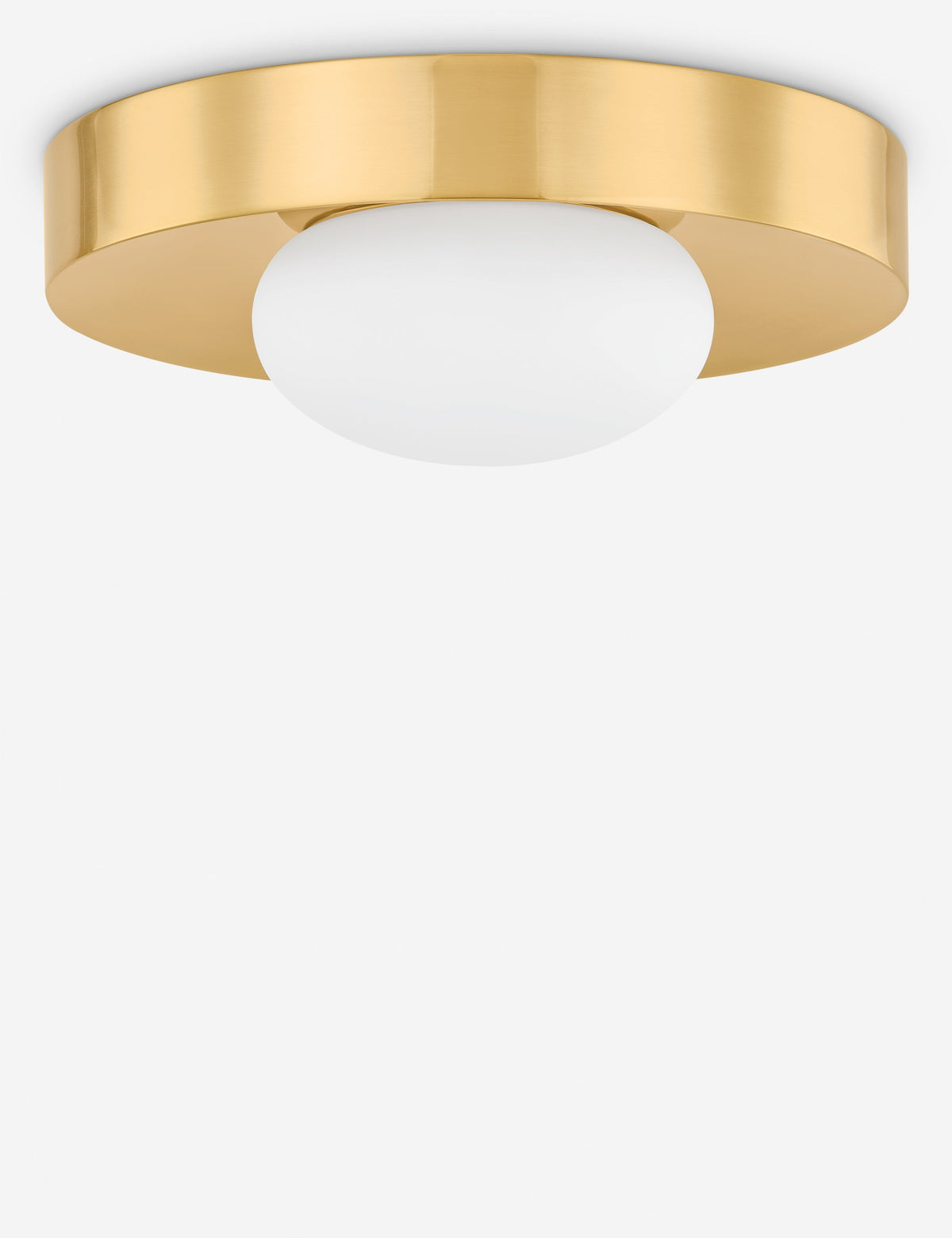 Bellecourt Flush Mount Light - Flush Mount Ceiling Light for Hallways in a room