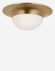 Seeger Flush Mount Light - Flush Mount Ceiling Light for Hallways