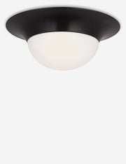 Seeger Flush Mount Light - Flush Mount Ceiling Light for Hallways