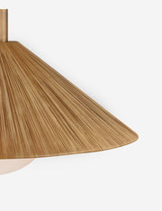 Atia Pendant Light - Modern Ceiling Pendant Light for Dining Rooms