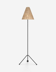 Appling Floor Lamp - Living Room Floor Lamp for Living Rooms