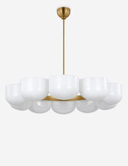 Cheverny Chandelier - Dining Room Chandelier Fixture for Dining Rooms