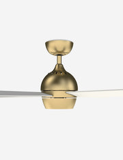 Indi Ceiling Fan + Light - Ceiling Fan with Light Indoor Fixture