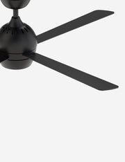 Indi Ceiling Fan + Light - Ceiling Fan with Light Indoor Fixture