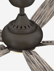 Donati Ceiling Fan + Light - Ceiling Fan with Light Indoor Fixture